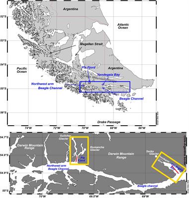 Separate Feeding Between the Pelagic Stage of the Squat Lobster Munida gregaria and the Larger Sized Zooplankton Crustacean Groups in the Beagle Channel as Revealed by Stable Isotopes